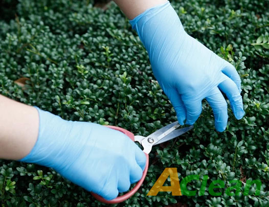 點擊瀏覽下一頁