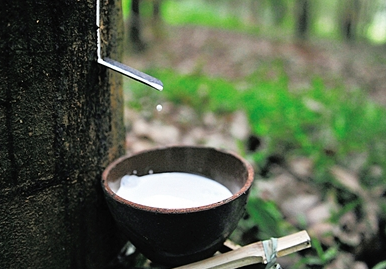 點擊瀏覽下一頁