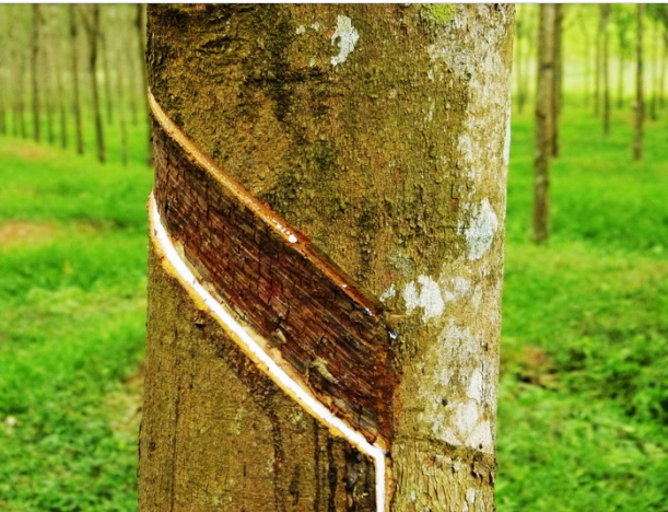 點擊瀏覽下一頁