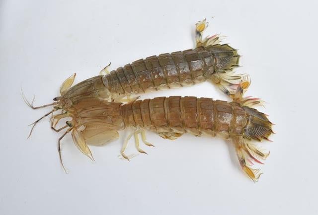 點擊瀏覽下一頁