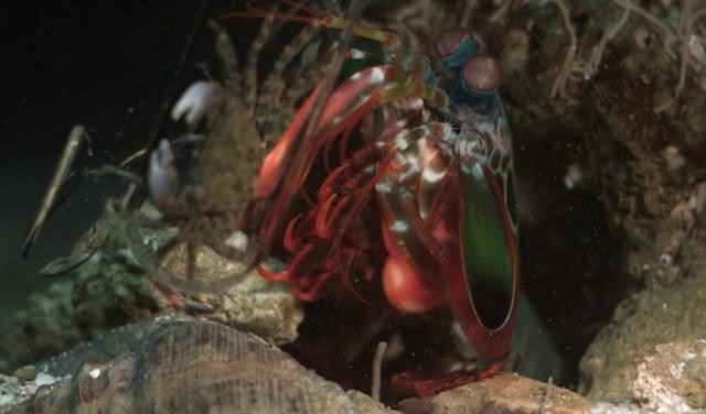 點擊瀏覽下一頁