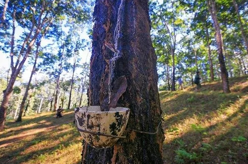 點(diǎn)擊瀏覽下一頁(yè)