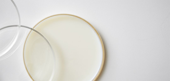 點擊瀏覽下一頁