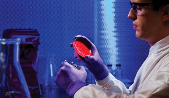 點擊瀏覽下一頁